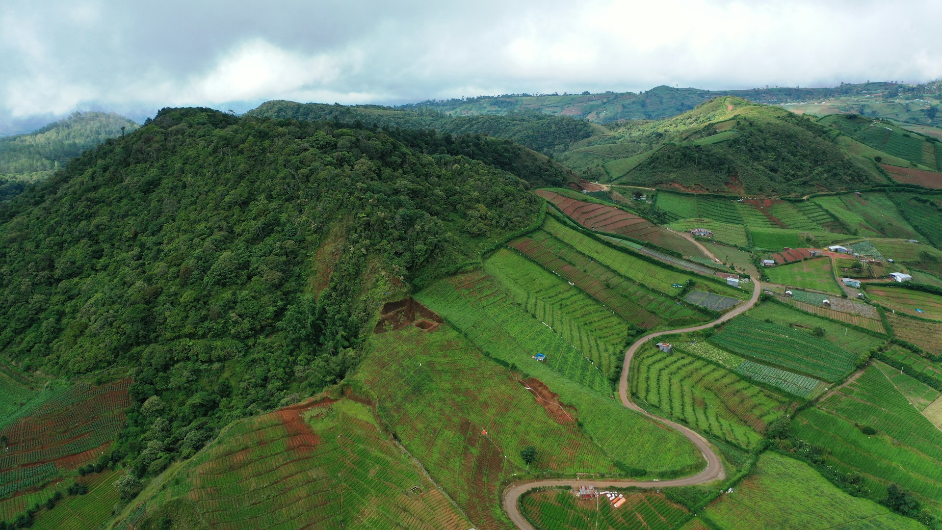 Maisons Toraja Sulawesi